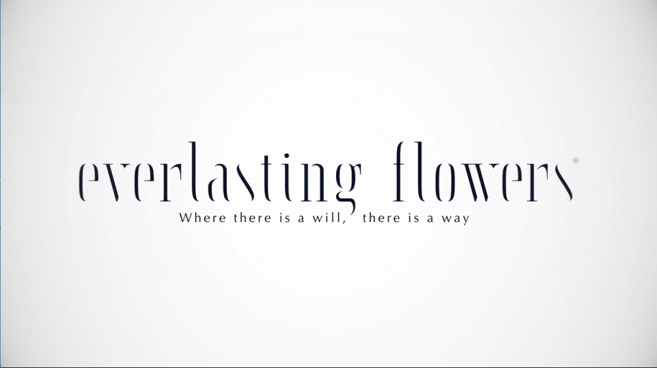 Everlasting Flowers 免安装绿色中文版